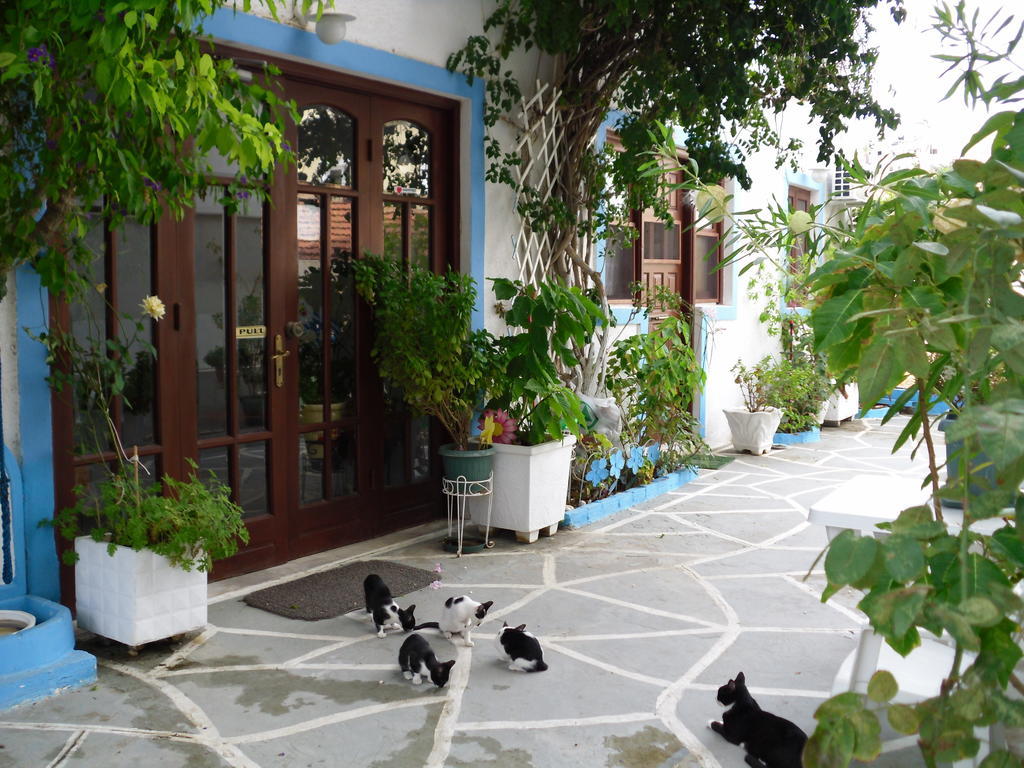 Mertonas Studios Karpathos Esterno foto